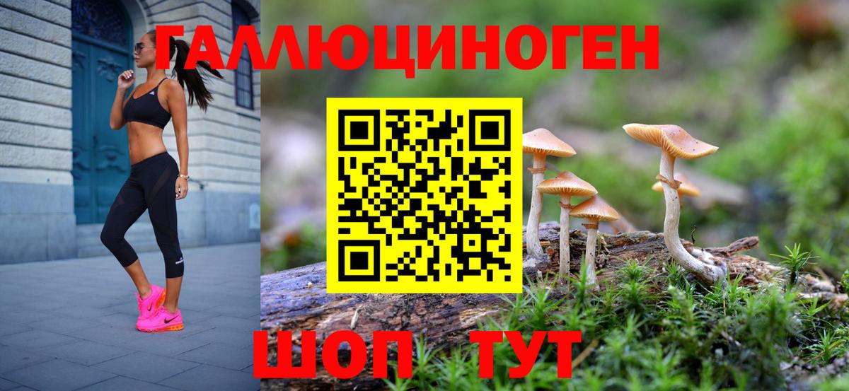 Псилоцибиновые грибы GOLDEN TEACHER Нововоронеж