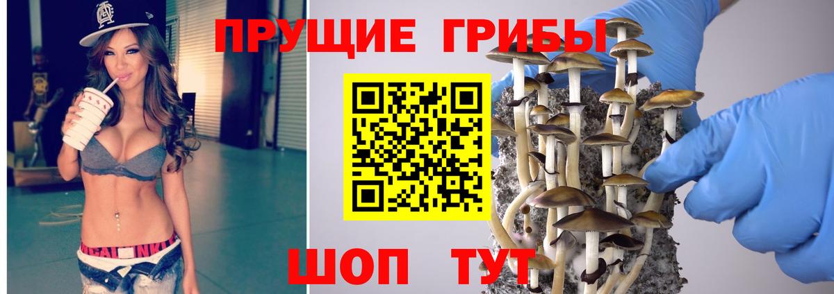 Нововоронеж  наркота  Вход с VPN  Псилоцибиновые грибы мухоморы 